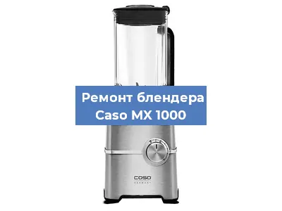 Замена предохранителя на блендере Caso MX 1000 в Воронеже